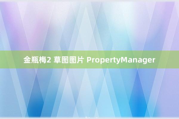 金瓶梅2 草图图片 PropertyManager