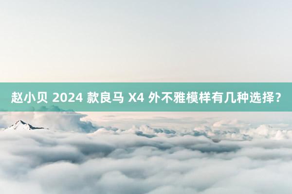 赵小贝 2024 款良马 X4 外不雅模样有几种选择？