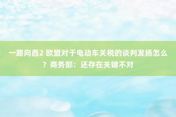 一路向西2 欧盟对于电动车关税的谈判发扬怎么？商务部：还存在关键不对