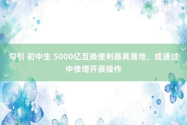 勾引 初中生 5000亿互换便利器具落地，或通过中债增开展操作