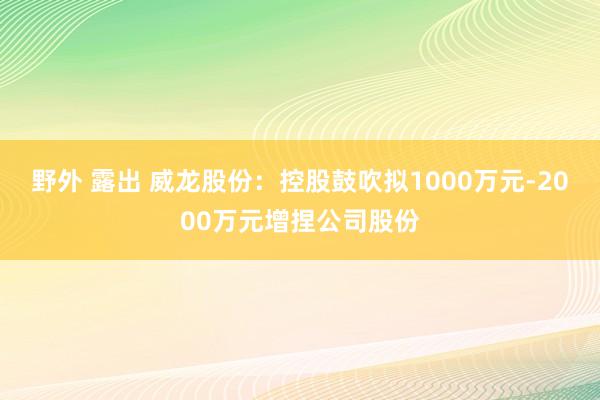 野外 露出 威龙股份：控股鼓吹拟1000万元-2000万元增捏公司股份