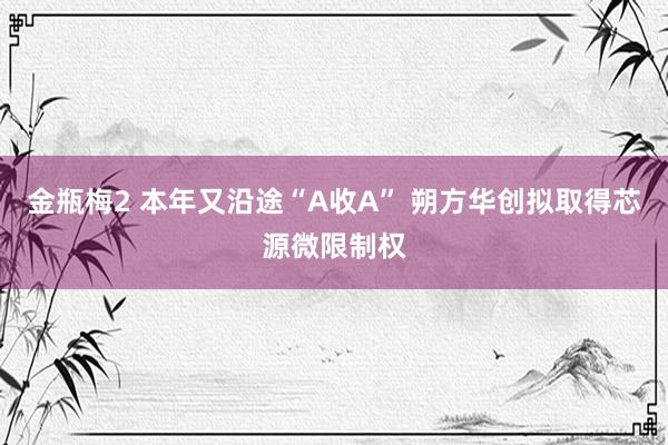 金瓶梅2 本年又沿途“A收A” 朔方华创拟取得芯源微限制权