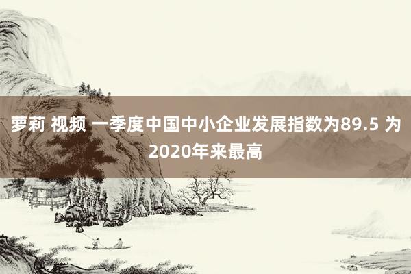 萝莉 视频 一季度中国中小企业发展指数为89.5 为2020年来最高