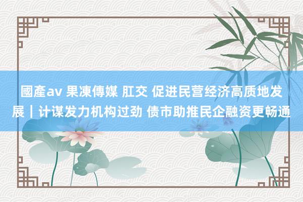 國產av 果凍傳媒 肛交 促进民营经济高质地发展｜计谋发力机构过劲 债市助推民企融资更畅通