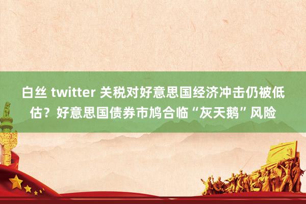 白丝 twitter 关税对好意思国经济冲击仍被低估？好意思国债券市鸠合临“灰天鹅”风险
